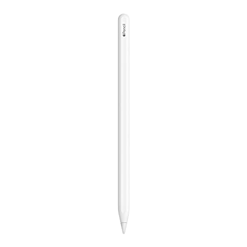 Apple Pencil (2a generazione): precisione pixel perfetta e bassa latenza leader del settore, perfetta per prendere appunti, disegnare e firmare documenti. Si attacca, si carica e si accoppia magneticamente.