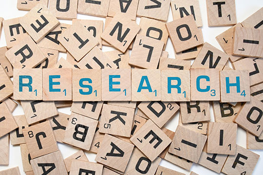 การวิจัยบล็อกบล็อกเกอร์ทักษะ