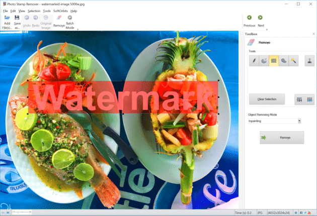 SoftOrbits-Photo-Damga-Sökücü-3