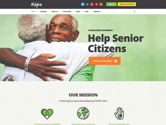 ウェブサイトの種類-構築-WordPress-非営利