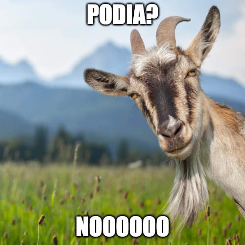 ポディアには努力する価値がありますか