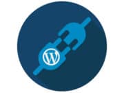 WordPress-插件-主题-插件