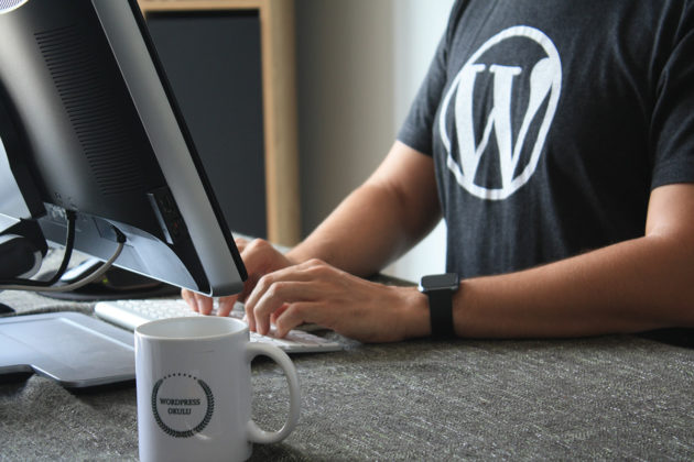 WordPress-designer-sviluppatore-codificatore-programmatore