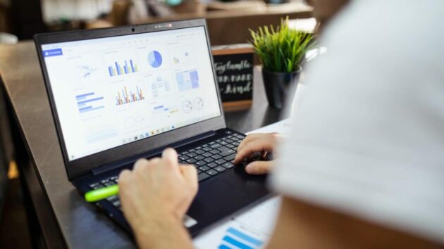 infografica-caratteri-statistiche-grafico-marketing-rank-report-analisi