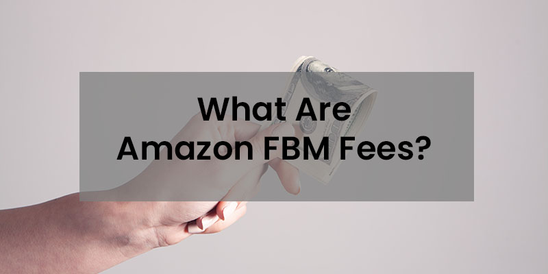 La mano de una mujer mostrando billetes de dólar