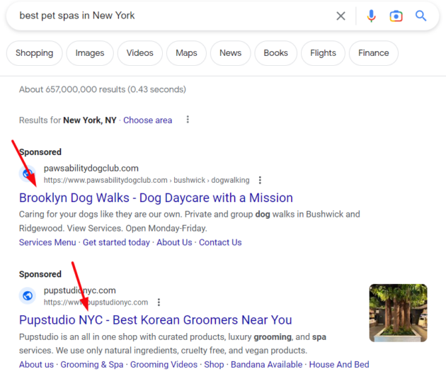 Google-arama-reklamları-en-new-york'taki en iyi evcil hayvan kaplıcaları