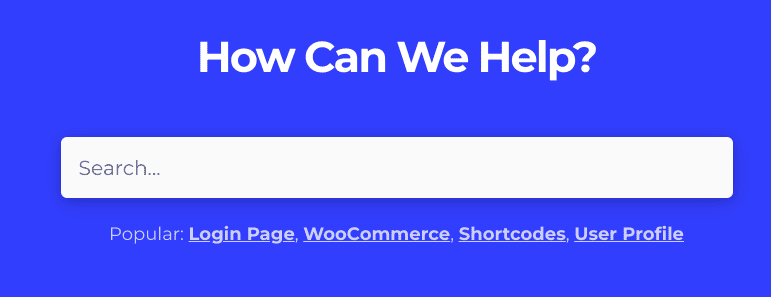 LearnDash a le meilleur centre de support