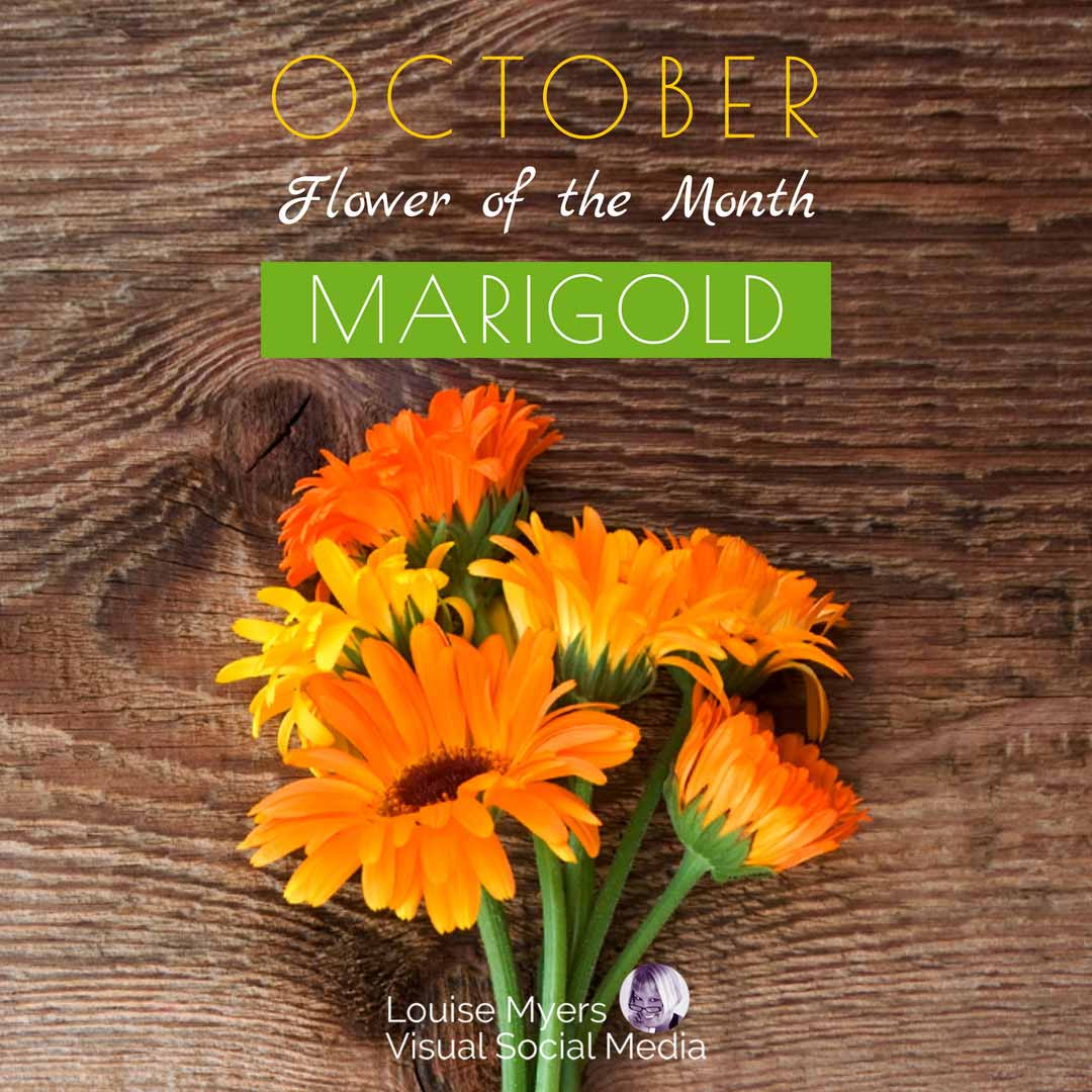 ดอกส้มที่วางอยู่บนโต๊ะไม้บอกว่าดอกไม้ประจำเดือนตุลาคือดอกดาวเรือง