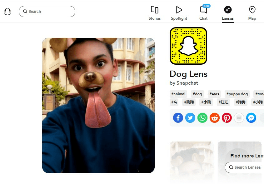 Snapchat 狗鏡片