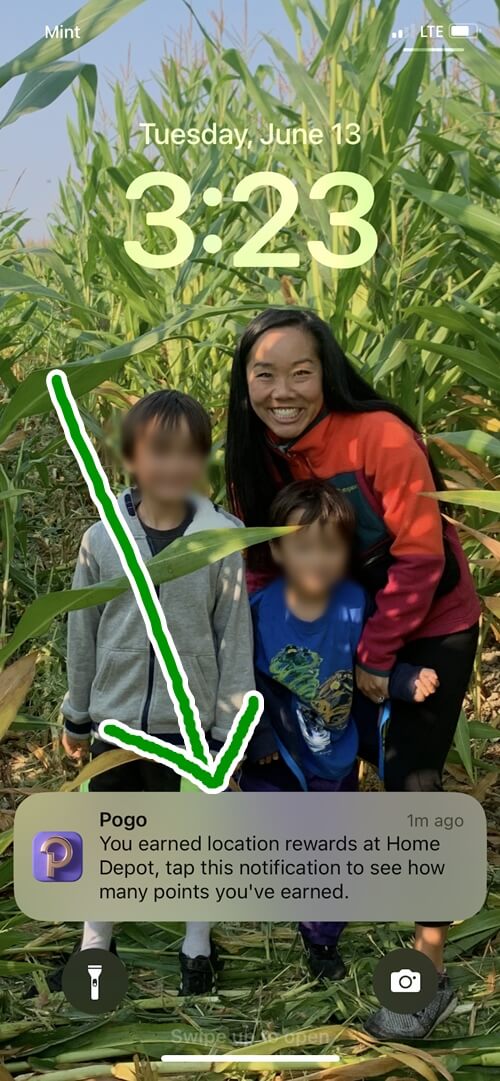 pogoアプリの位置情報特典