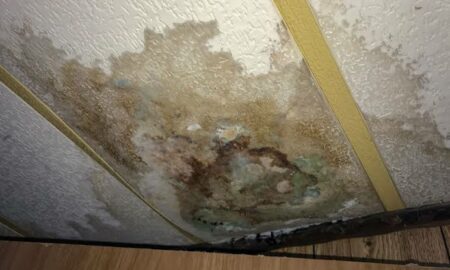 Cosa fare se la tua casa è bagnata oltre che ammuffita: cause, minacce e anche soluzioni