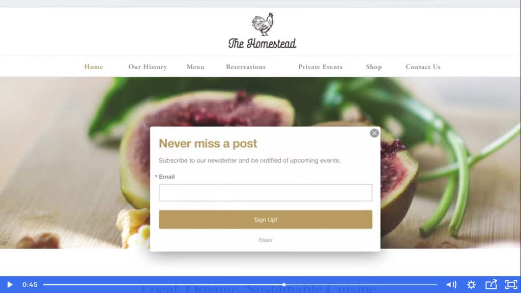 Formulario de registro de contacto constante