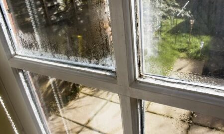 家中高湿度的症状：综合指南