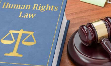 在英国捍卫非法移民的权利：深入了解人权律师