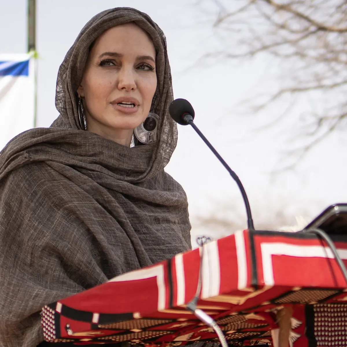 安吉麗娜·朱莉