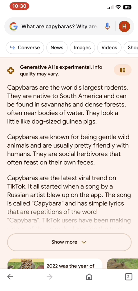 谷歌巴德AI搜索體驗