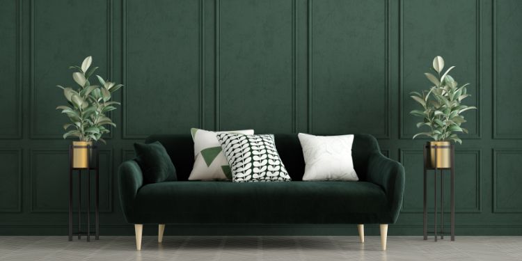 Innenarchitekturkonzept mit Sofa und Pflanzen