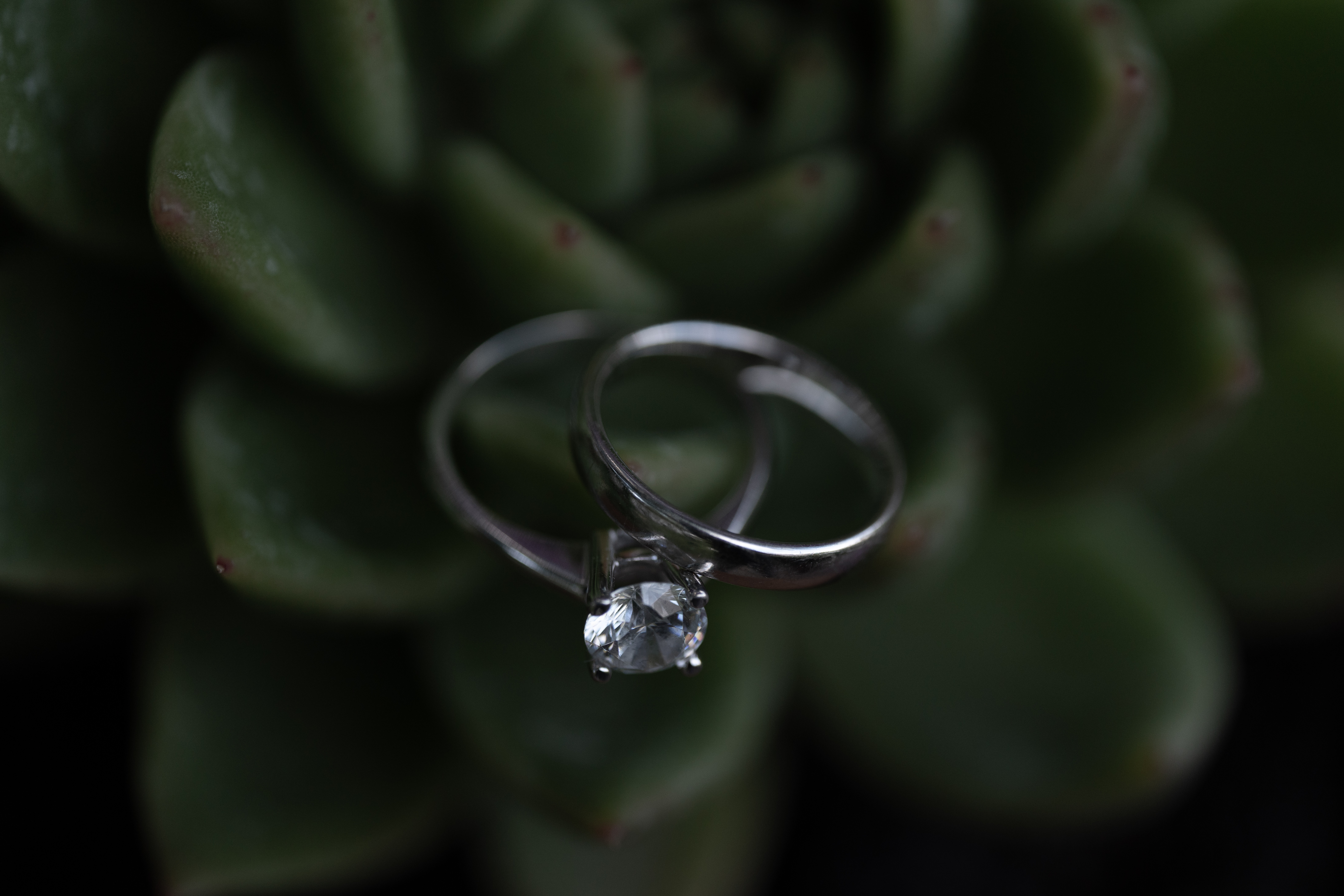 Elegir el anillo de bodas perfecto para capturar su historia de amor