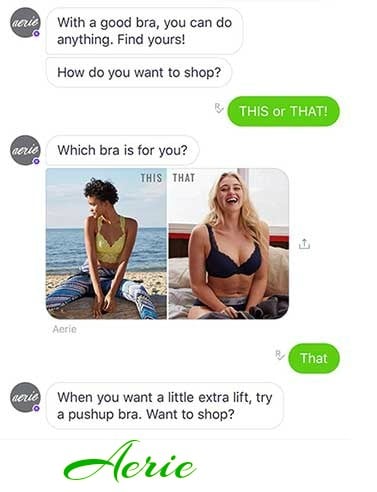 Aerie チャットボット