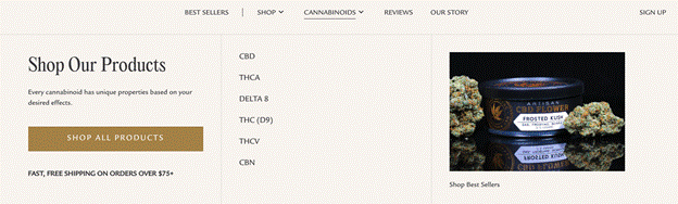 设计 CBD 网站时要考虑的因素