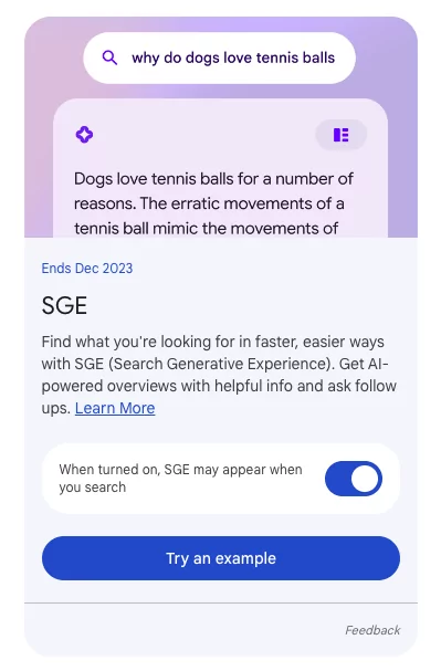 screenshot dell'attivazione di SGE in Search Labs
