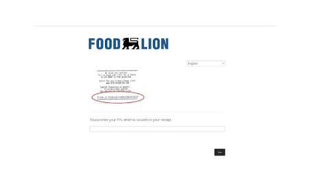 TalktoFoodLion.com - Enquête officielle de Food Lion pour gagner 500 $ (COMMENCEZ ICI)