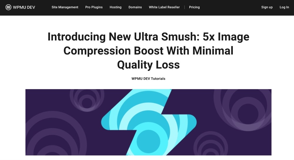 Screenshot des WPMU Dev-Blogs