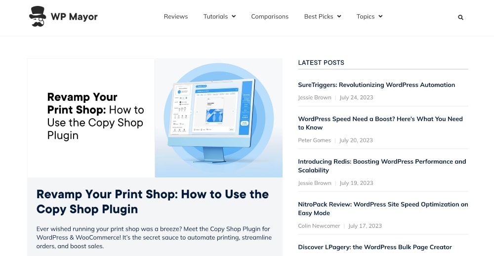 Screenshot des WP Mayor-Blogs