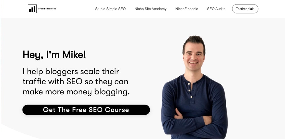 Stupid Simple SEO kursu ekran görüntüsü