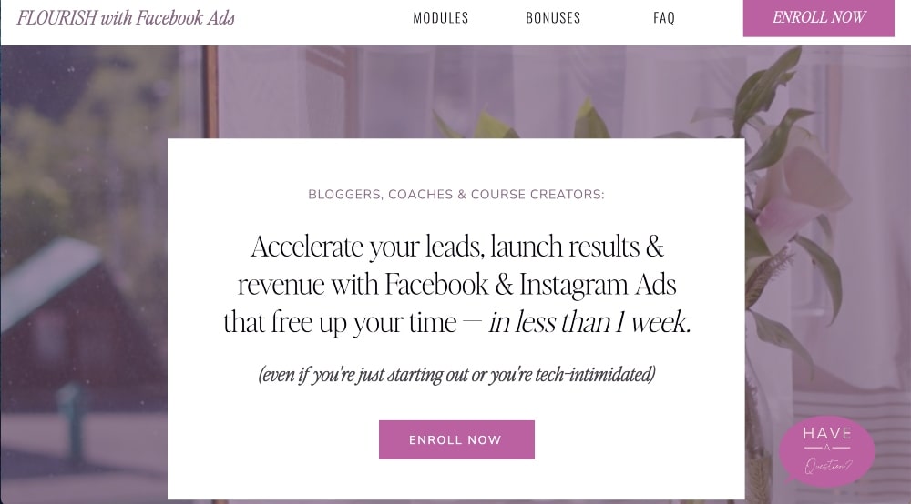 Flourish With Facebook Ads kursu ekran görüntüsü