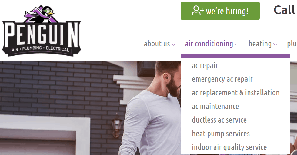 Site Web de Penguin Air montrant un exemple de leurs options de page de service.