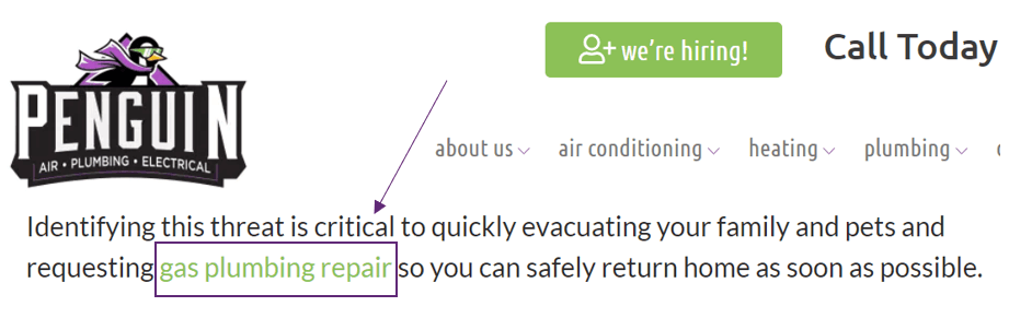 Une capture d'écran du blog d'un site Web indiquant le lien interne.