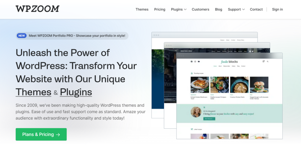 10+ En İyi WordPress Tema Sağlayıcıları (Güncellenmiş liste) 16 wpzoom homepage