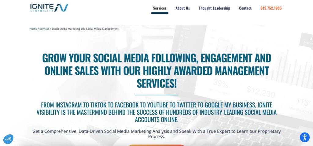 ภาพหน้าจอของเว็บไซต์ของ Ignite Visibility
