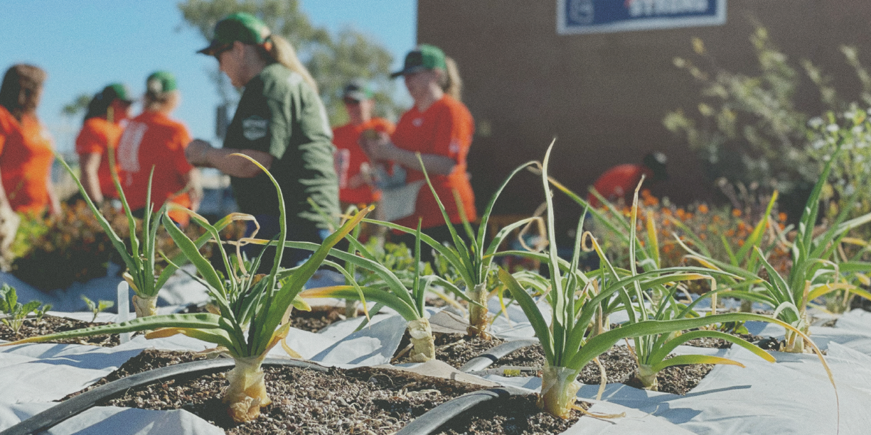 Modern hayırseverlik-birleşik-gıda bankasının durumu