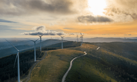 الاستدامة والتحول الرقمي: ثورة التكنولوجيا الخضراء