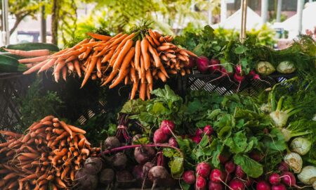 소비자 동향이 농업 시장의 미래를 어떻게 형성하고 있는지에 대한 Aristov Aleksandr 및 기타 전문가