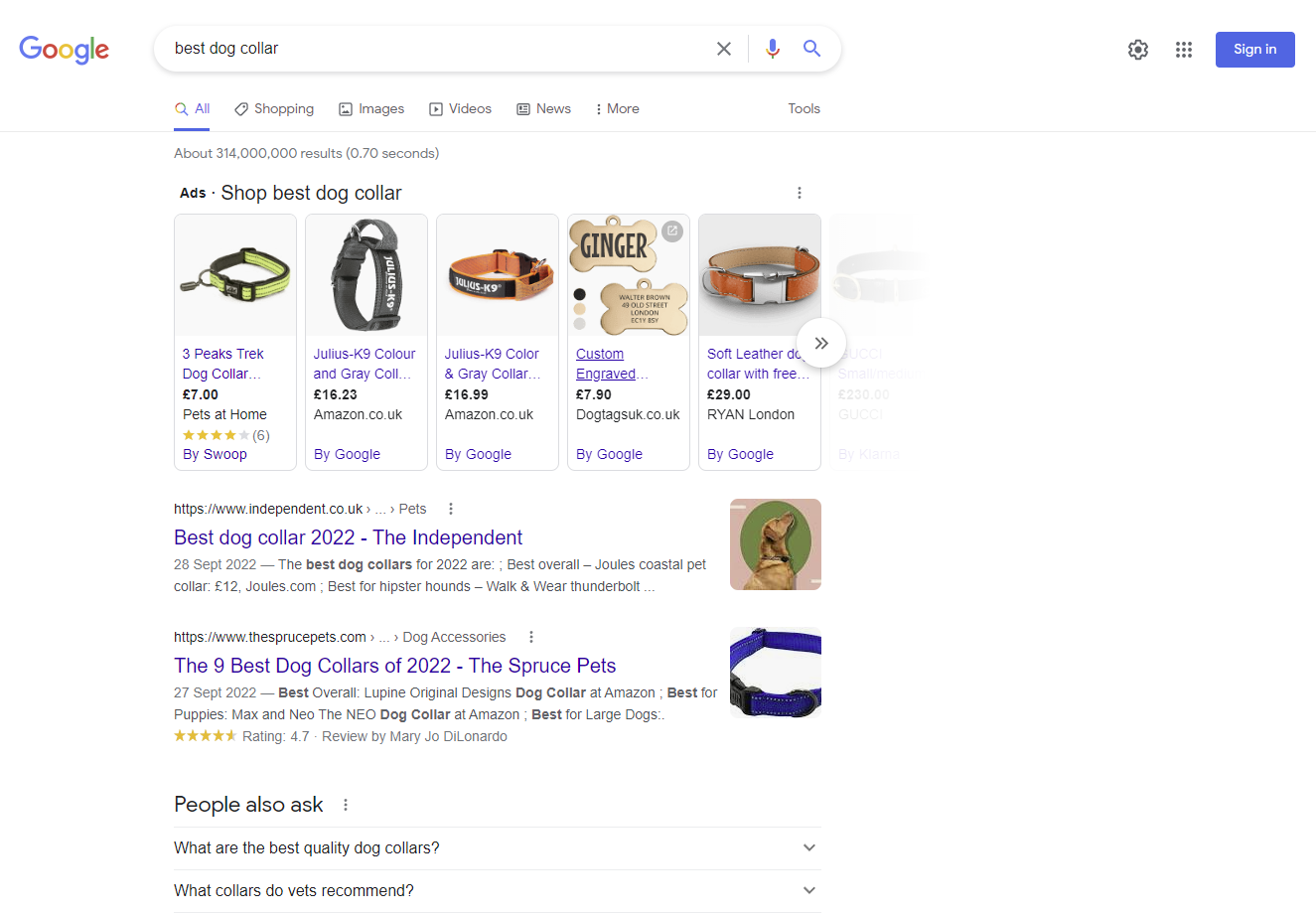 Google'da "en iyi köpek tasması" aramasının ekran görüntüsü