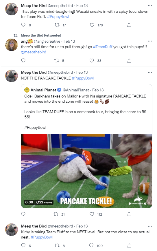 Meep the Bird hesabının gönderisinin ekran görüntüsü