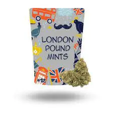 Londra Pound Nane Suşu - Meyveli ve Naneli Bir Hibrit