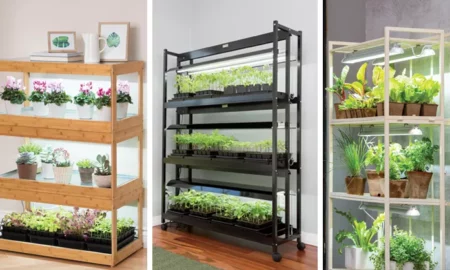 Büyütme Işıklarıyla Bitki Yetiştirmek: Bir Bahçıvanın Bakış Açısı