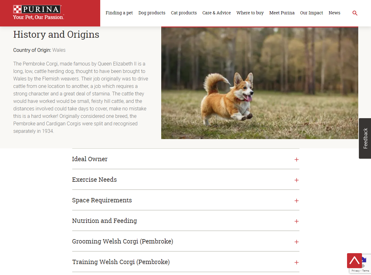 Purina sınav sonuçlarının ekran görüntüsü