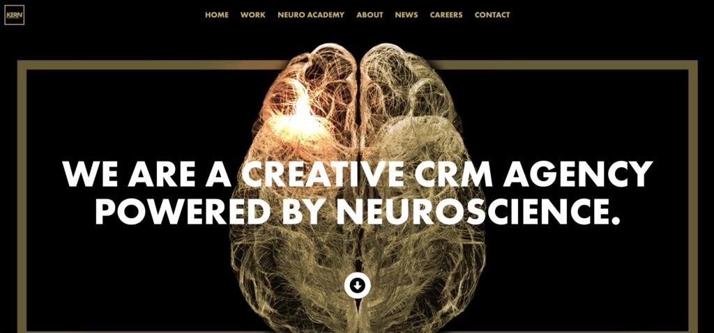 Kern'in web sitesi ana sayfası