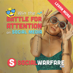 Social-Warfare-Pro