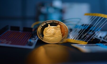 Du Dogecoin au Shiba Inu : comprendre l’essor des Meme Coins